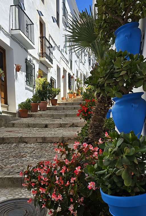 Macetas con flores y escaleras en la Calle Zacatín - Qué ver en Frigiliana
