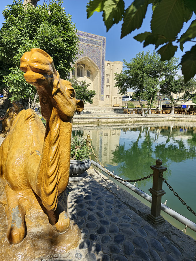 Escultura de un camello en el Complejo Lyabi-Hauz. Una de las plazas más increíbles que ver en Bukhara