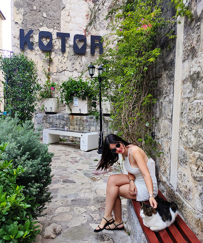 Acariciando a los gatos de Kotor