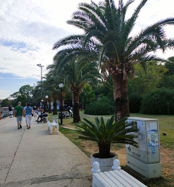 Qué ver en Budva: Paseo Marítimo