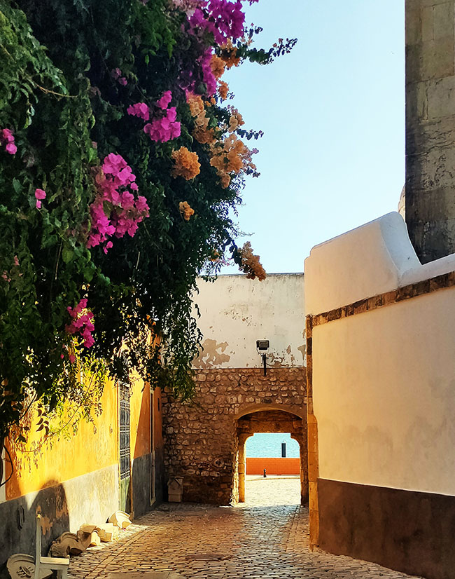 Qué ver en Faro: Porta Nova