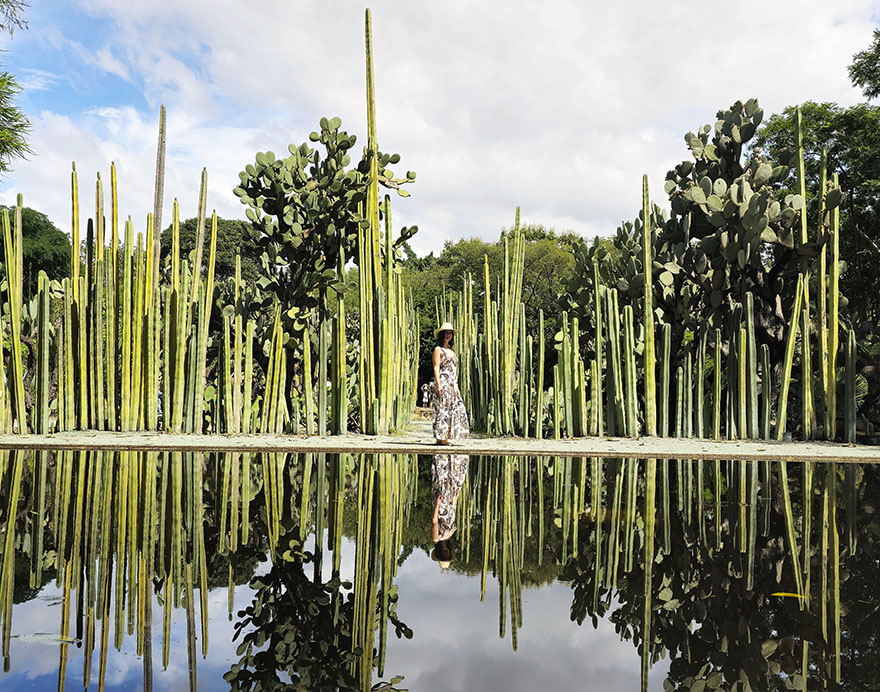 Espejo de Agua en el Jardín Etnobotánico, una de las mejores cosas que ver en Oaxaca