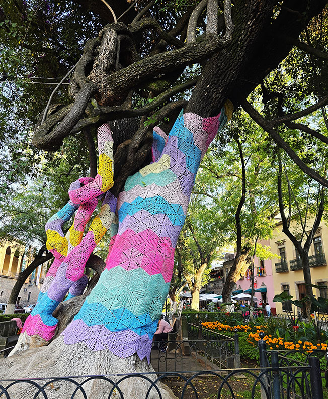El animado Jardín de las Rosas lleno de color y cempasúchil. Uno de los mejores lugares que ver en Morelia