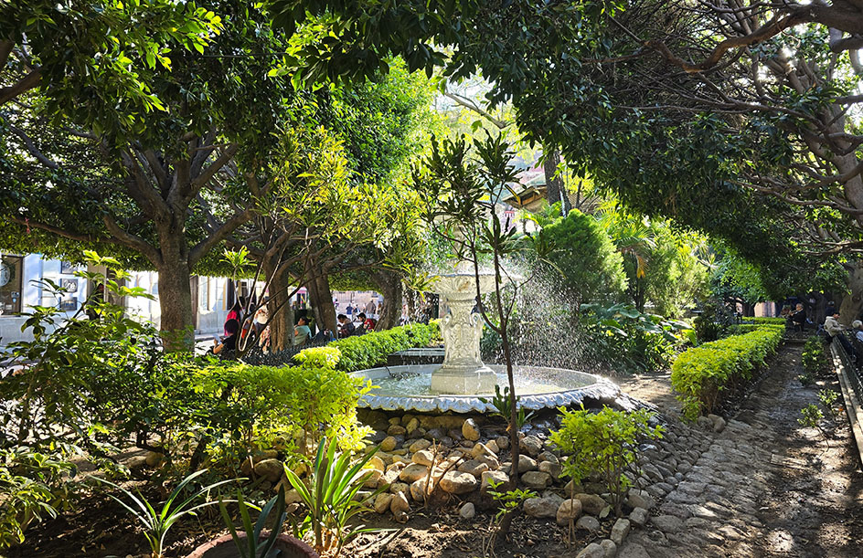 Fuente entre la vegetación y caminos empedrados en el Jardín de la Unión, una de las plazas más animadas que ver en Guanajuato