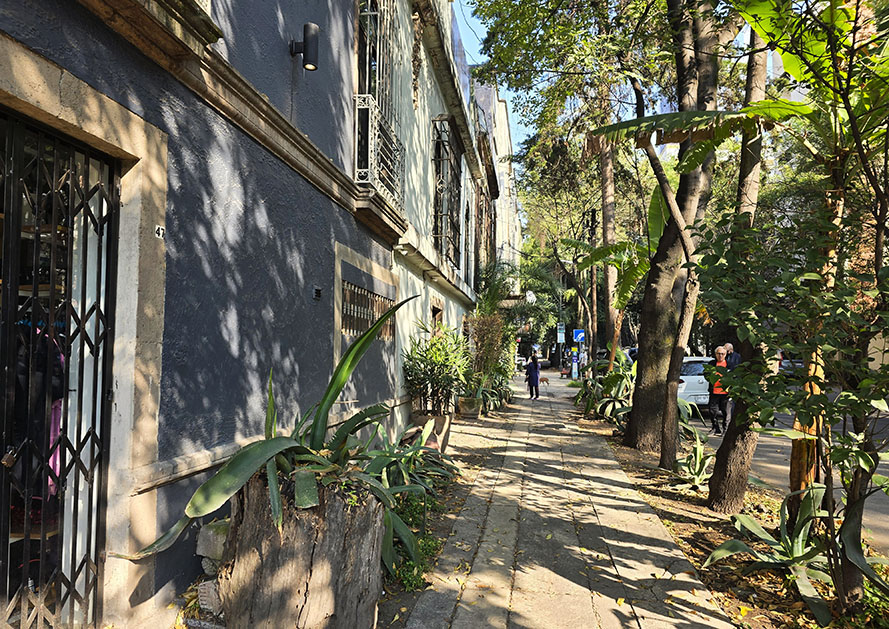 La Condesa , una de las mejores colonias que ver en Ciudad de México