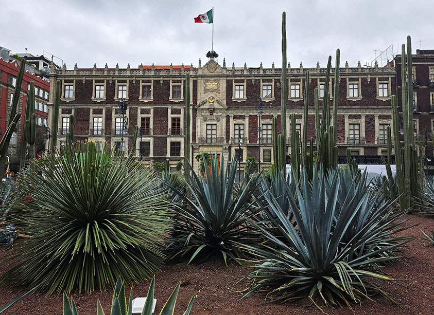 Centro histórico de CDMX - Los mejores tours y excursiones en Ciudad de México