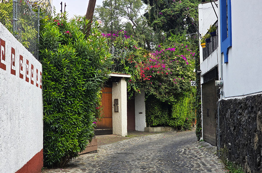 Qué ver en Ciudad de México - Coyoacán