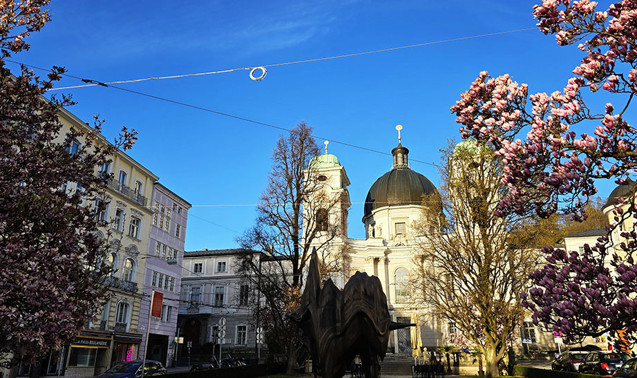 Qué ver en Salzburgo: Makartplatz, con los cerezos en flor