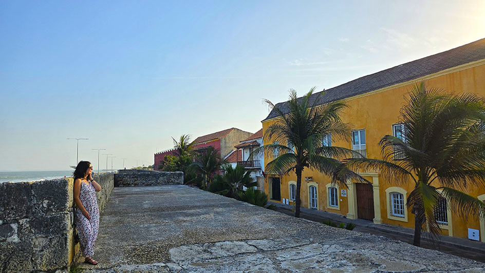 Sobre el Baluarte de Santa Clara observando las palmeras - Qué ver en Cartagena de Indias