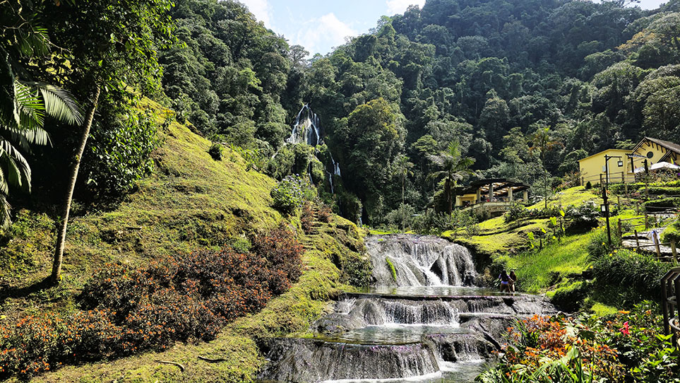 Cascadas rodeadas de vegetación -
Cómo visitar los Termales Santa Rosa de Cabal