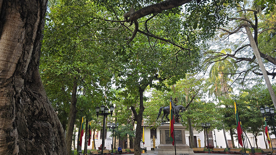 Qué ver en Cartagena de Indias: Parque de Bolívar lleno de árboles con la estatua ecuestre del Libertador en el centro y banderas alrededor.