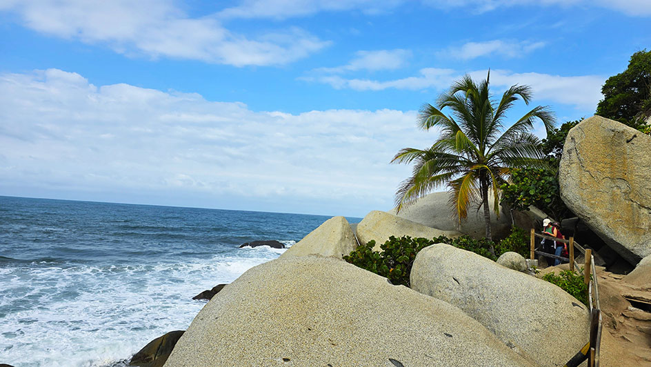 Enormes rocas con una palmera en medio y el mar al aldo - Cómo visitar el Parque Tayrona