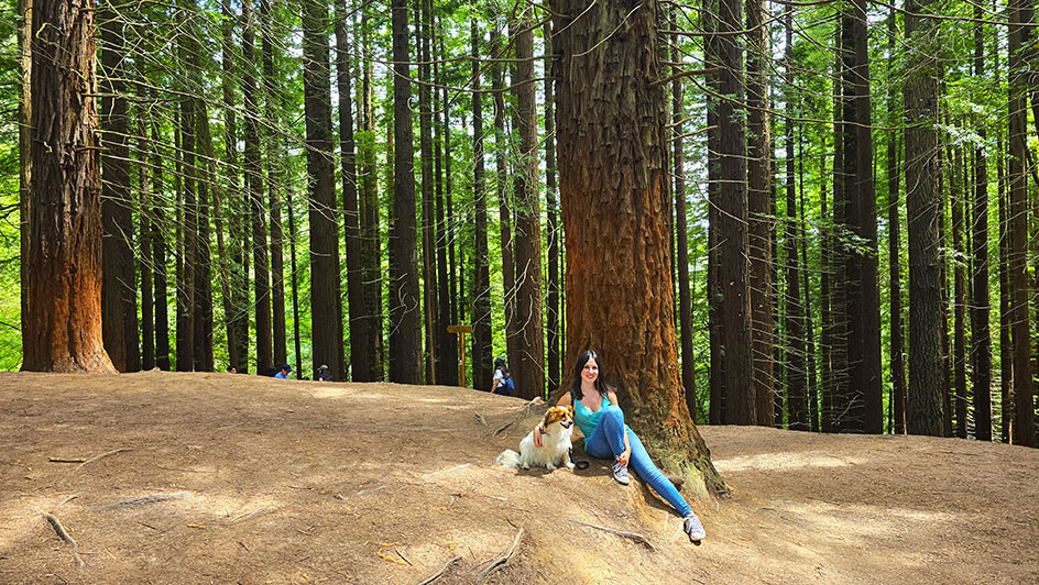 Yo y mi perro en el Bosque de Secuoyas - Qué ver en Cantabria