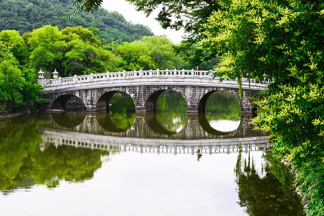 Puente de piedra en el medio rodeado de vegetación en Duryu Park - Qué ver en Daegu