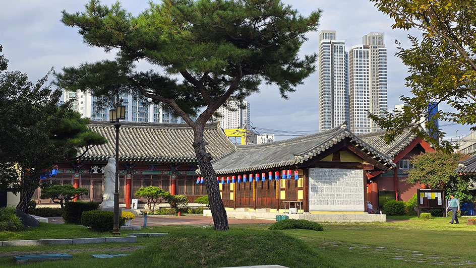 Escuela confuciana Hyanggyo co edificios al fondo - Qué ver en Daegu