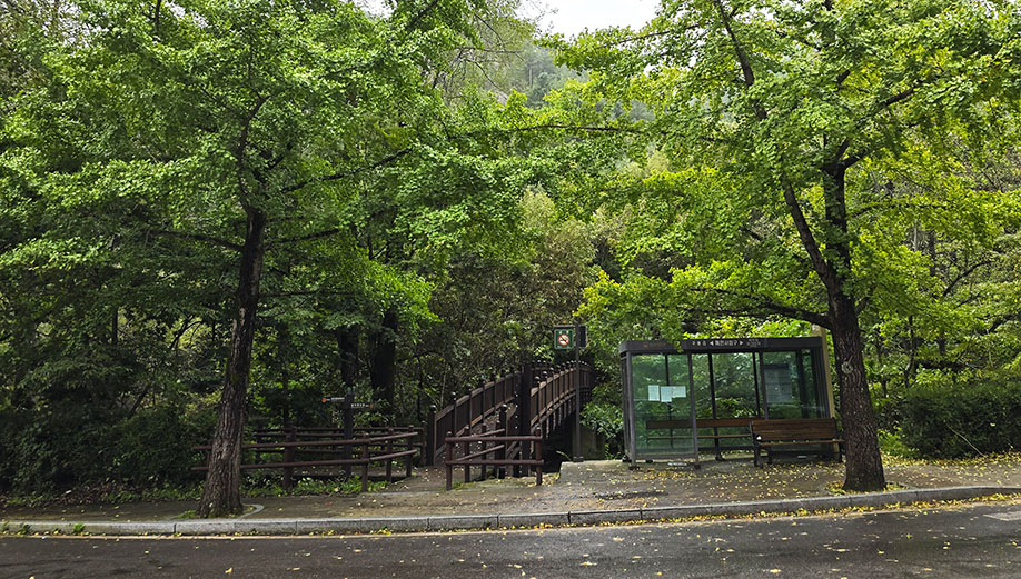 Parada de autobús junto a un puente de madera y rodeado de árboles - Cómo visitar el Templo Haeinsa