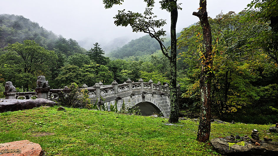 Puente de piedra entre la vegetación del Parque Nacional Seoraksan