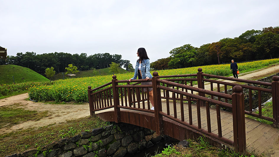 Yo en medio de un puente de madera con campos de flores amarillas y túmulos al fondo - Qué ver en Gyeongju
