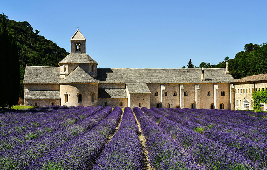 Abadía al fondo con campos de lavanda - Qué ver en Gordes