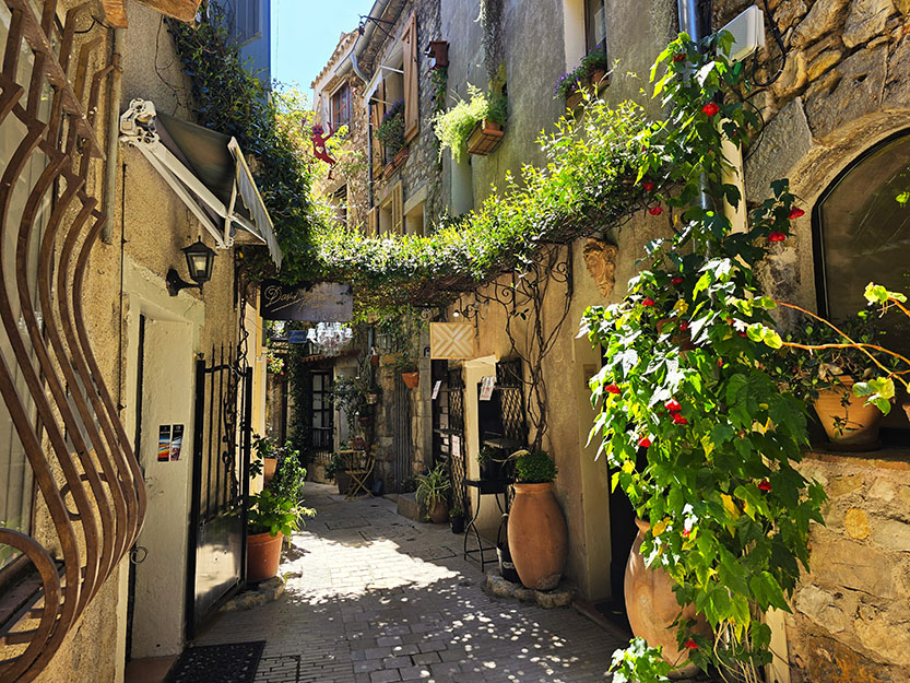 Calle empedrada y estrecha con plantas por todas partes - Qué ver en Mougins