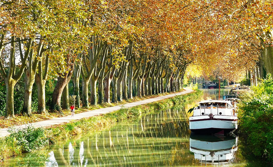 Barco blanco sobre un canal con muchos árboles a la izquierda con un pequeño sendero - Qué ver en Carcassonne