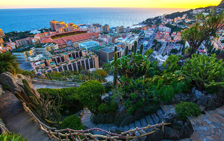 Camino entre suculentas con vistas a rascacielos al atardecer - Qué ver en Mónaco