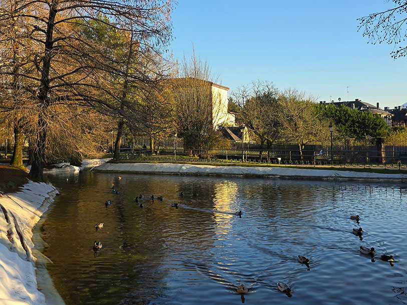 Estanque de patos - Qué ver en Gernika
