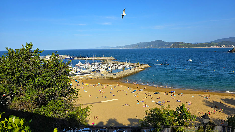 Playa de arena con gente tomando el sol, un pequelo puerto a la izquierda y el mar de fondo. también sobrevuela  una gaviota - Qué ver en Getaria