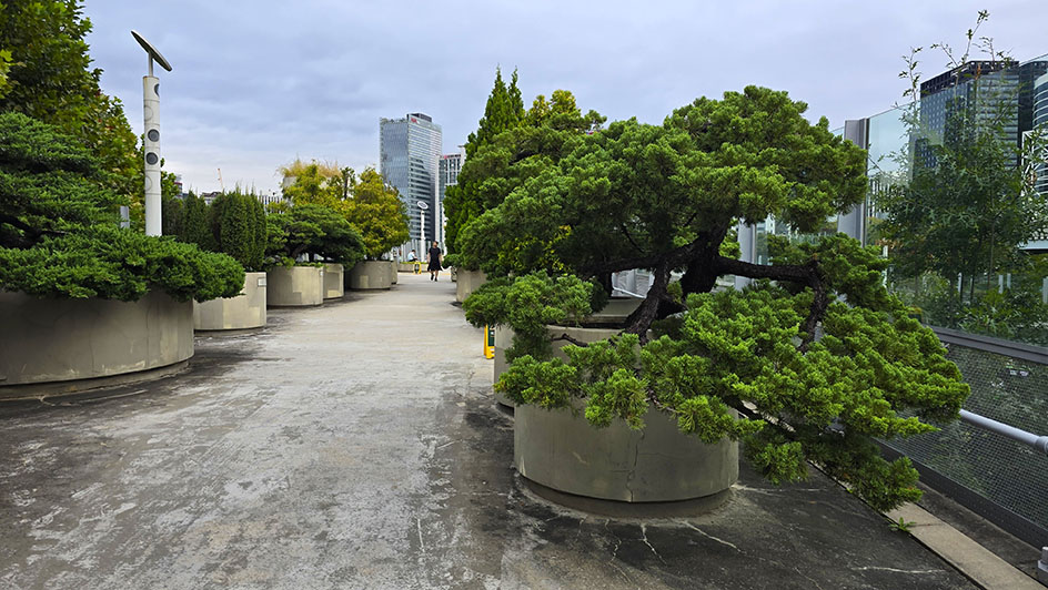 Esplanada con plantas a cada lado - Dónde alojarse en Seúl