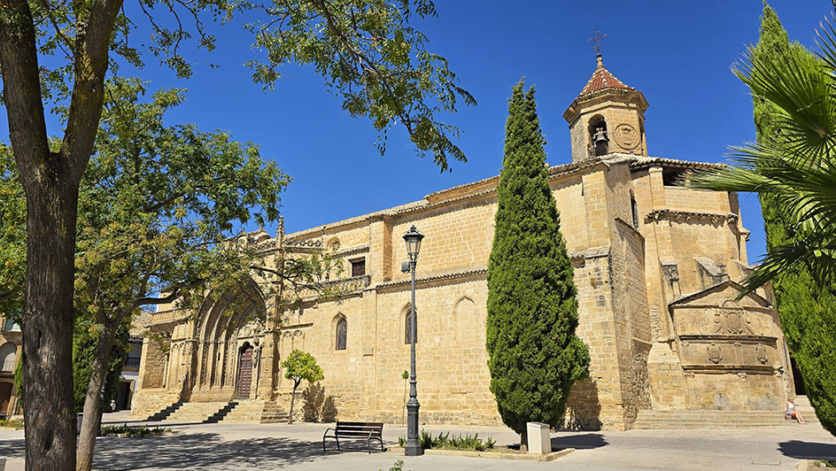 Iglesia en medio de una plaza con algunos árboles alrededor - Qué ver en Úbeda