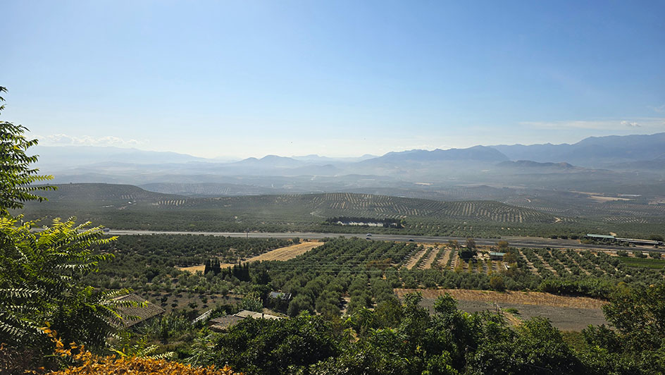 Vistas de los olivares de la provincia de Jaén - Qué ver en Baeza