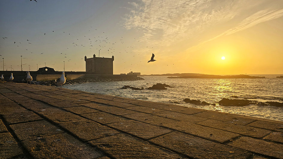 Gaviotas posadas en un muro, con una fortaleza jutno al mar y un precioso atardecer  - Qué ver en Essaouira