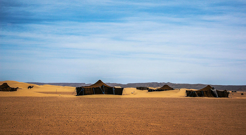 Tiendas en el desierto de Zagora con camellos y dunas al fondo - Las mejores excursiones desde Marrakech