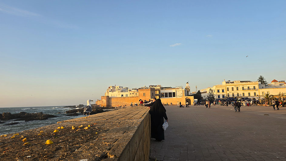 Amplia plaza jutno al mar con gente paseando y una gaviota sobre el muro - Qué ver en Essaouira