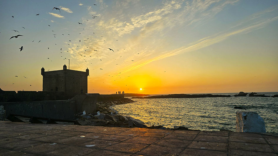 Atardecer sobre el mar con gaviotas sobrevolando y una fortaleza a la izquierda - Las mejores excursiones desde Marrakech