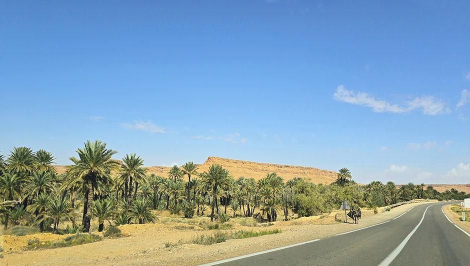 Carretera junto a plameral - Conducir en Marruecos