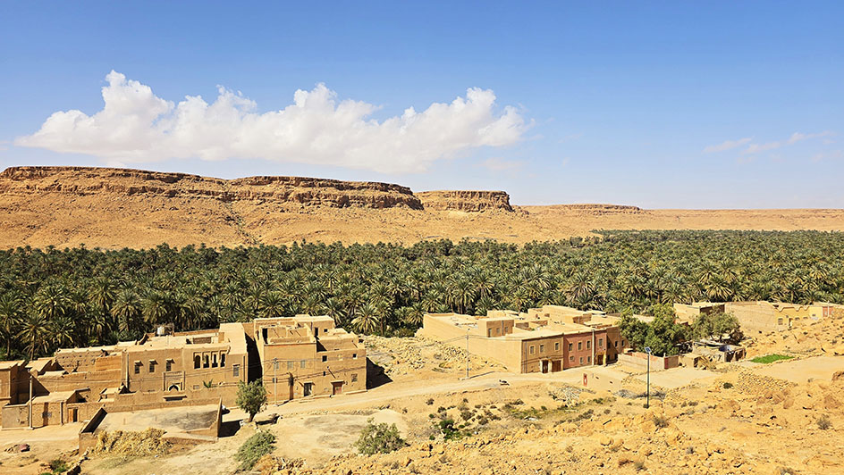 Valle de Palmeras - Conducir en Marruecos