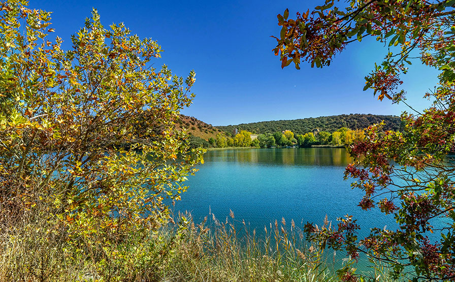 Laguna rodeada de vegetación - Qué ver en la Provincia de Ciudad Real