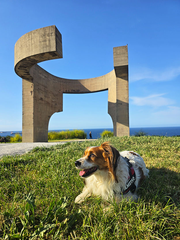 Escultura de homigón frente al mar con un precioso perro en el frente - Qué ver en Gijón