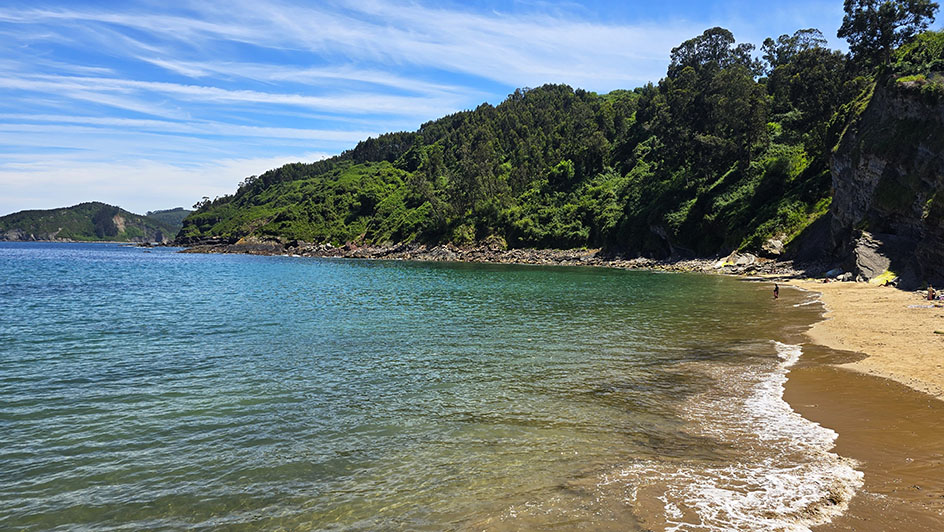 Playa junto a vegetación - Qué ver en Tazones