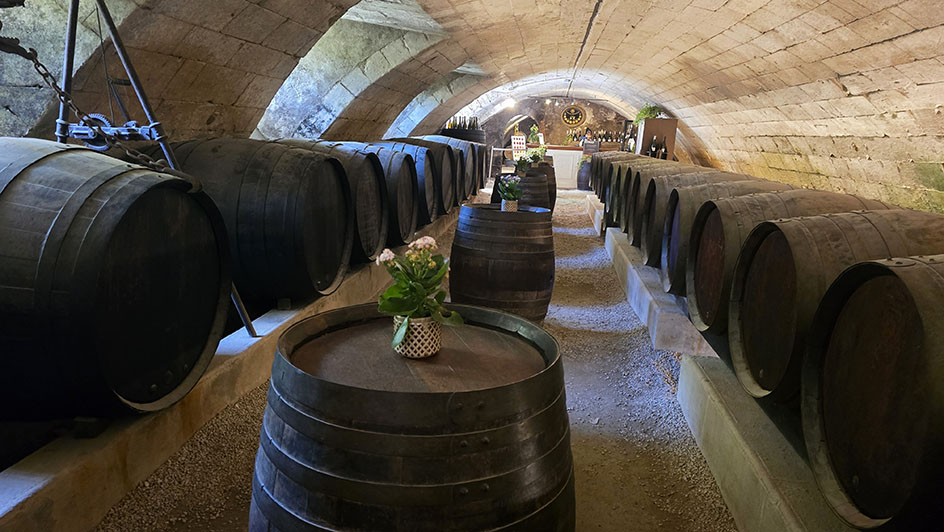 La bodega de las cúpulas - Cómo visitar el Castillo de Chenonceau