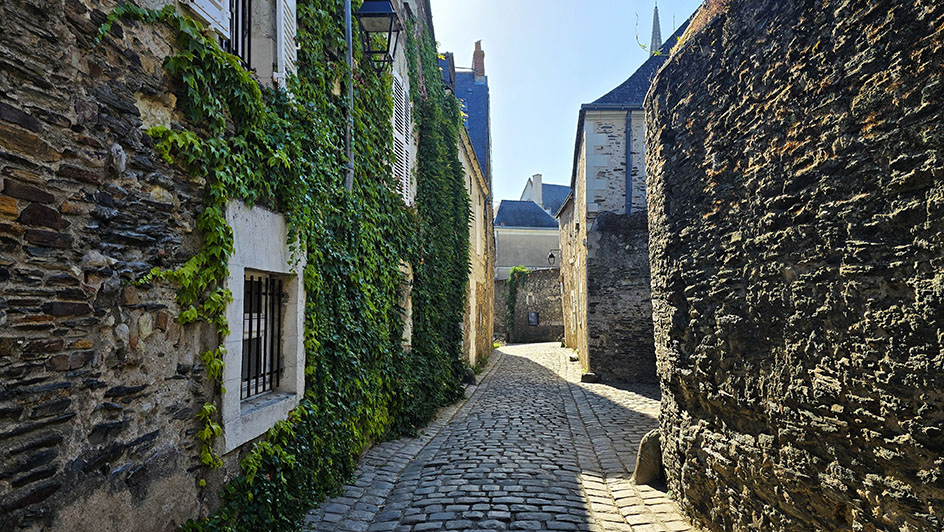Rue Saint-Aignan, una de mis calles favoritas que ver en Angers de estilo medieval
