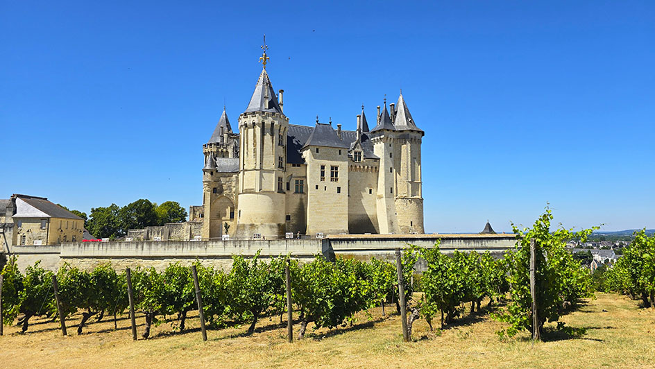 Viñedos frente al Castillo de Saumur en el Valle del Loira